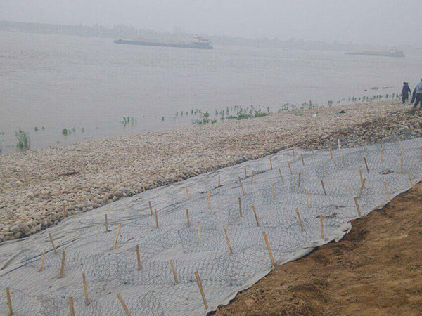 鍍高爾凡雷諾護墊圖片3